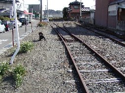 ��������å��ǳ���!